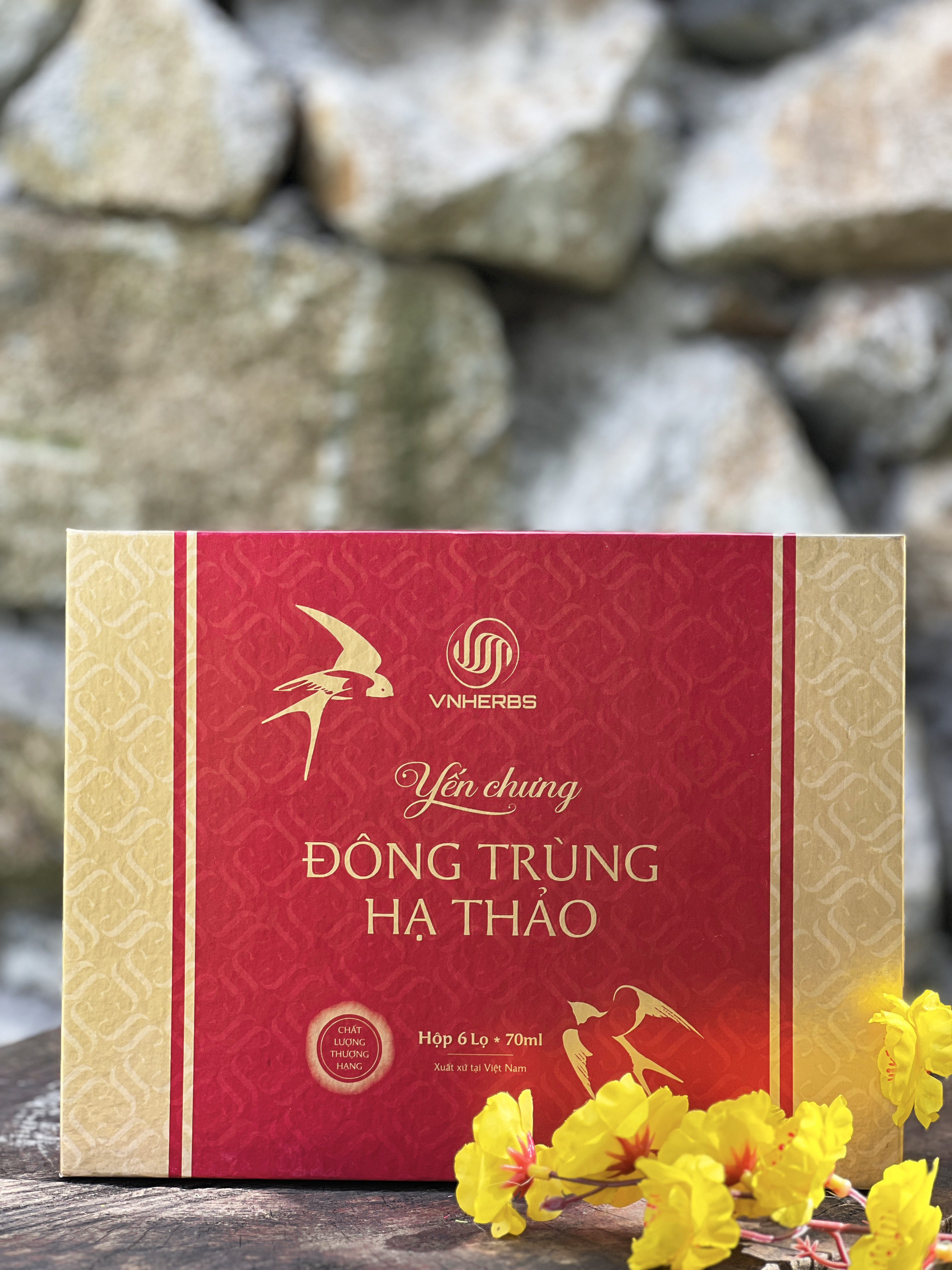 Yến chưng đông trùng hạ thảo cho người mới ốm dậy