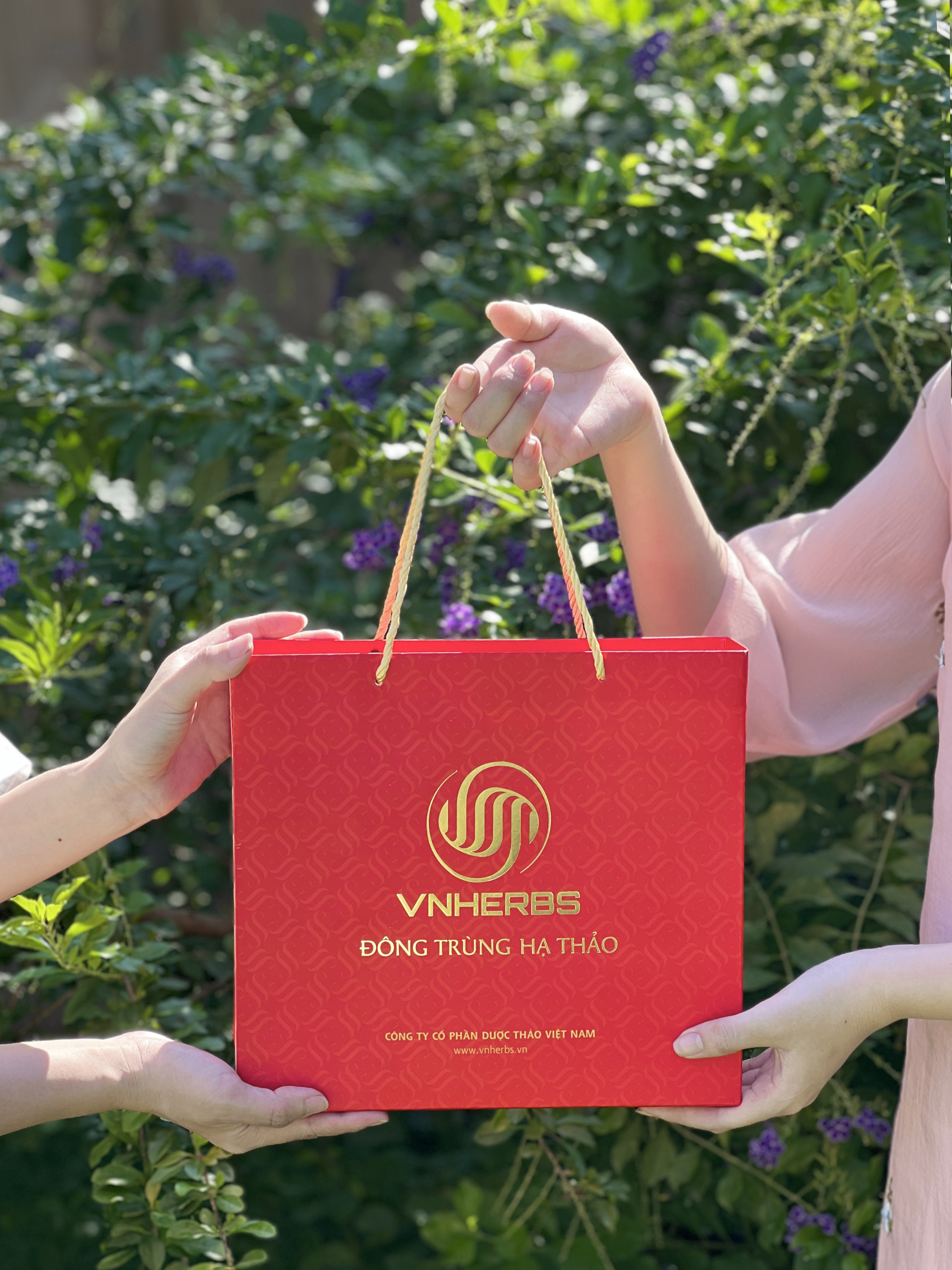 Yến chưng đông trùng hạ thảo tiện lợi