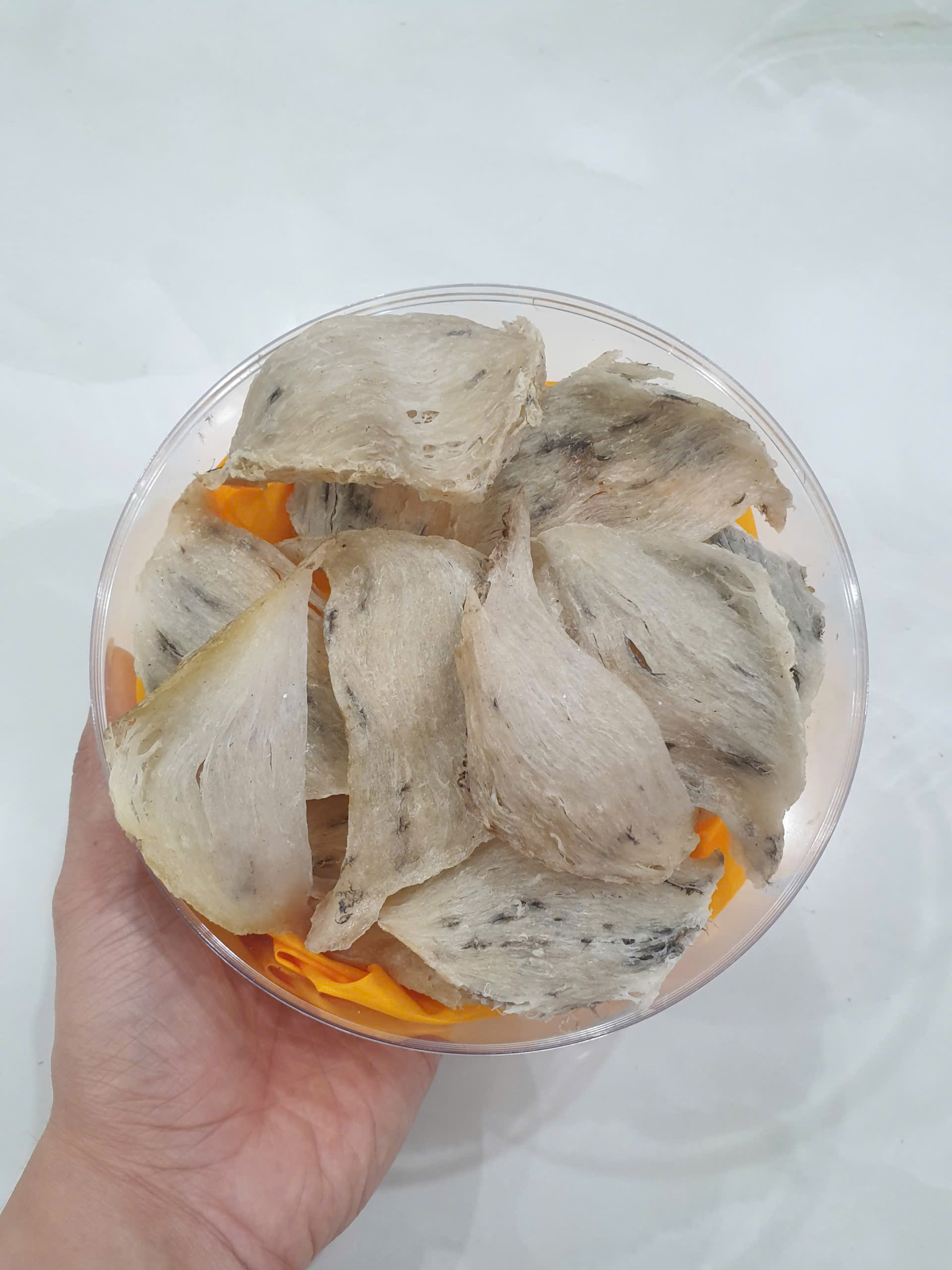 Yến thô nguyên tổ góc đẹp chưng đường phèn thơm ngon