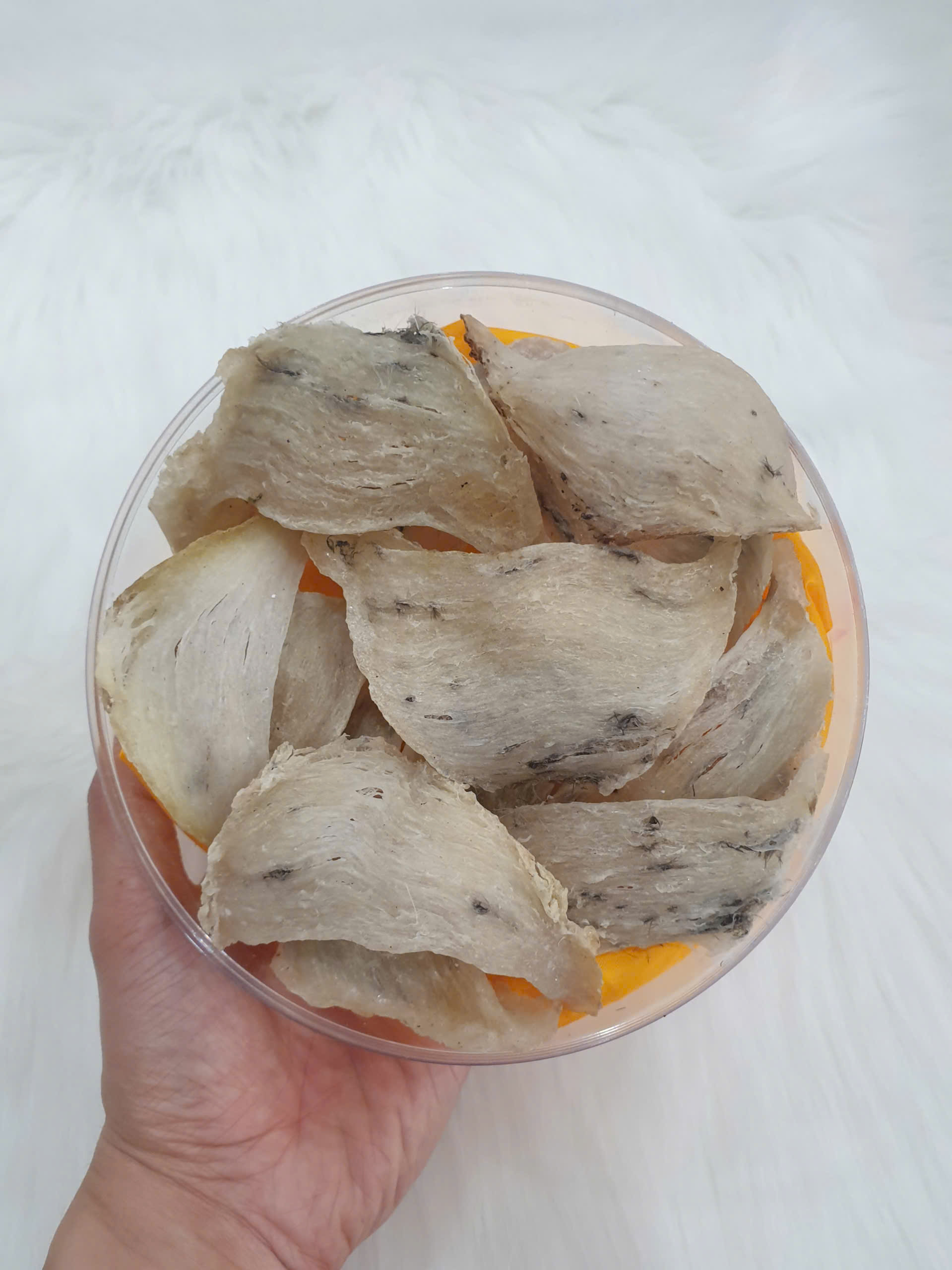 Yến thô nguyên tổ góc đẹp làm quà biếu sang trọng