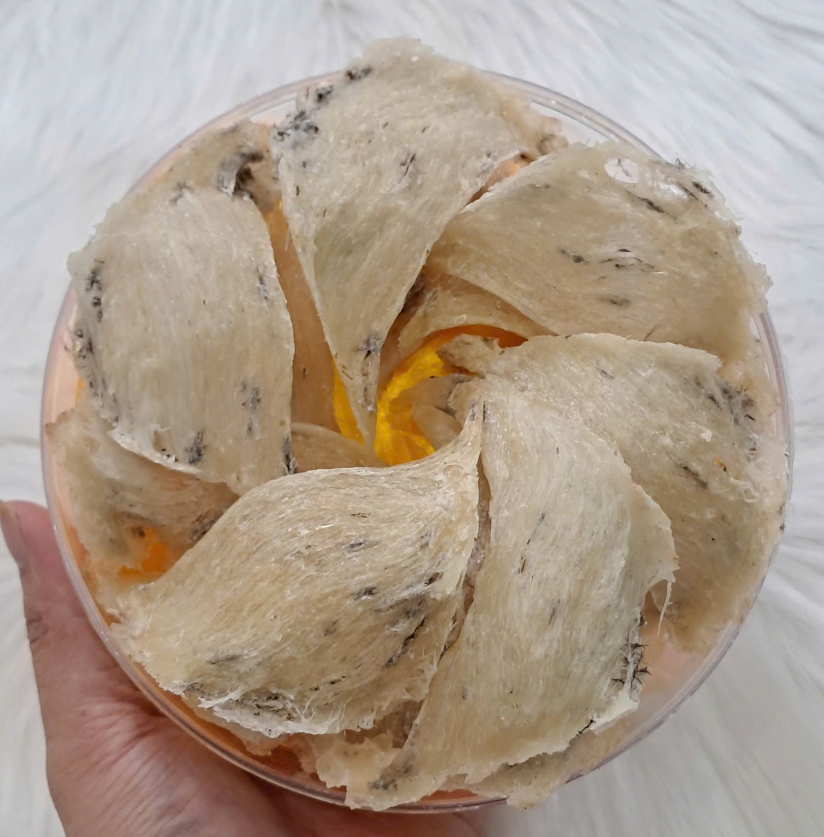 Yến thô nguyên tổ góc đẹp Nha Trang Khánh Hòa nguyên chất 100%