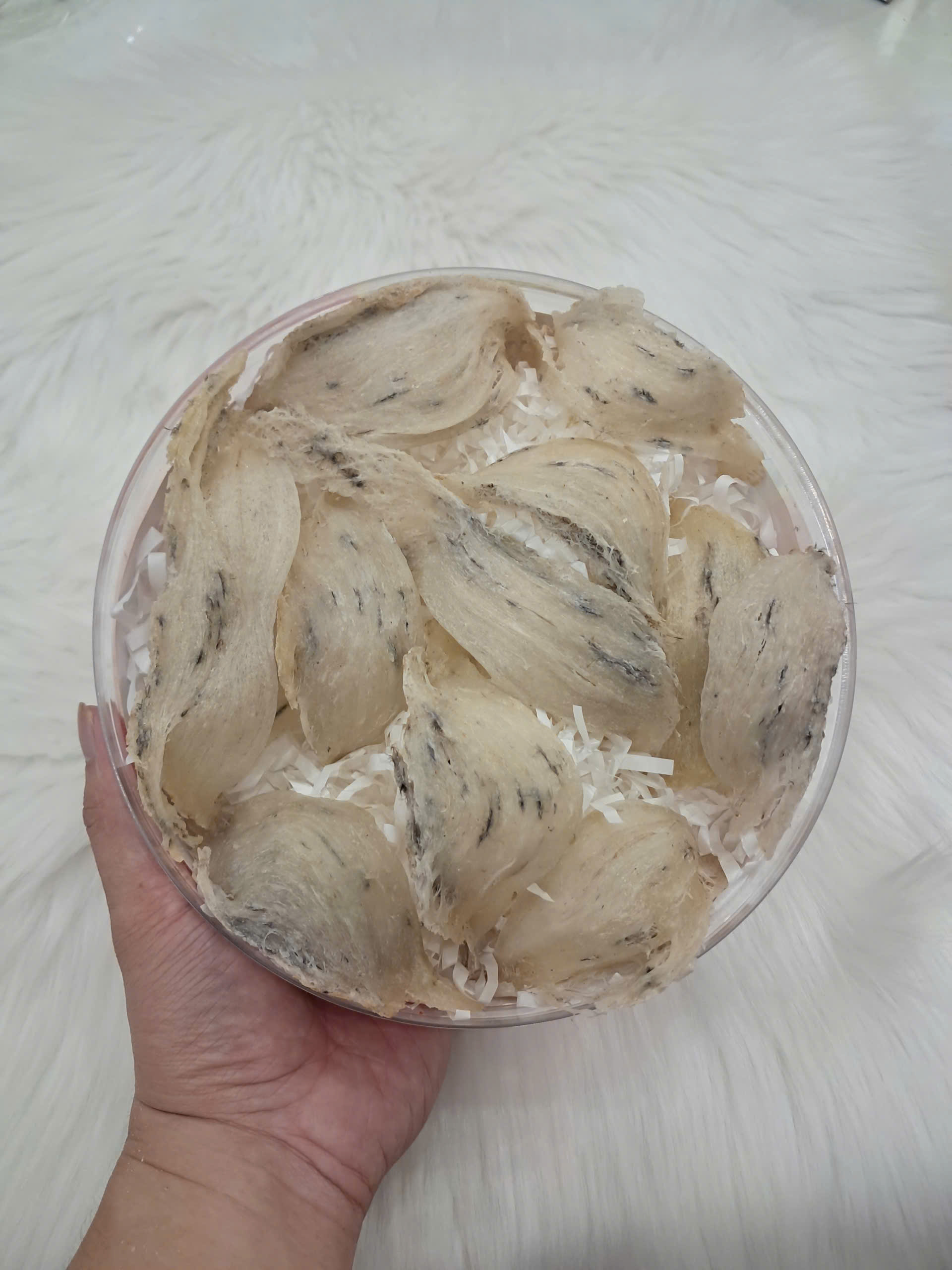 Hộp yến thô nguyên tổ Nha Trang Khánh Hòa sang trọng