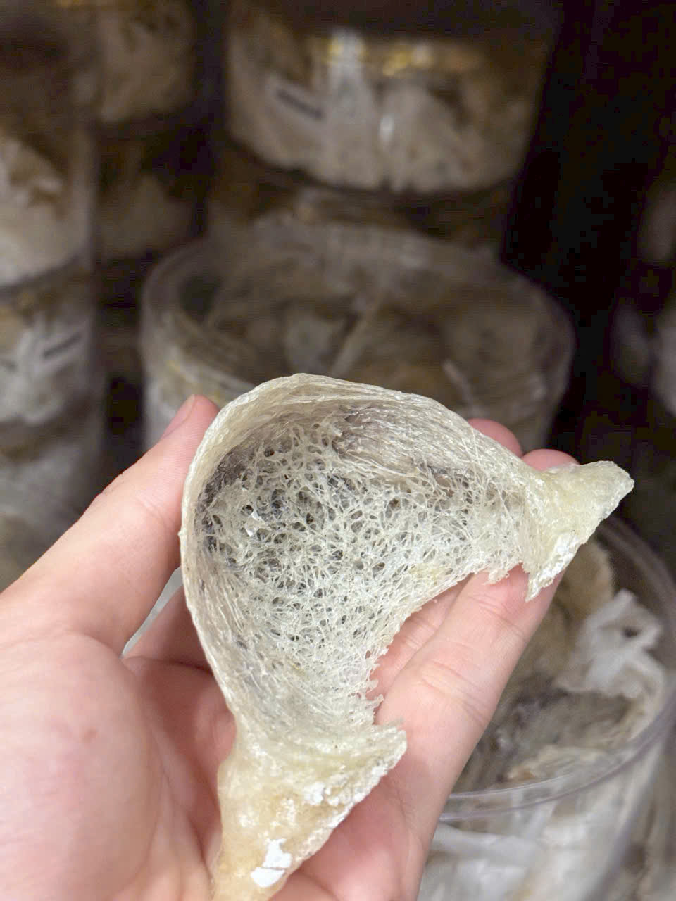 Yến thô giá tốt, giao hàng toàn quốc