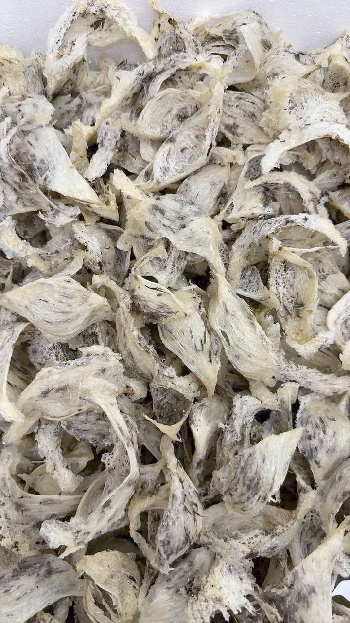 Yến thô nguyên chất giàu dinh dưỡng