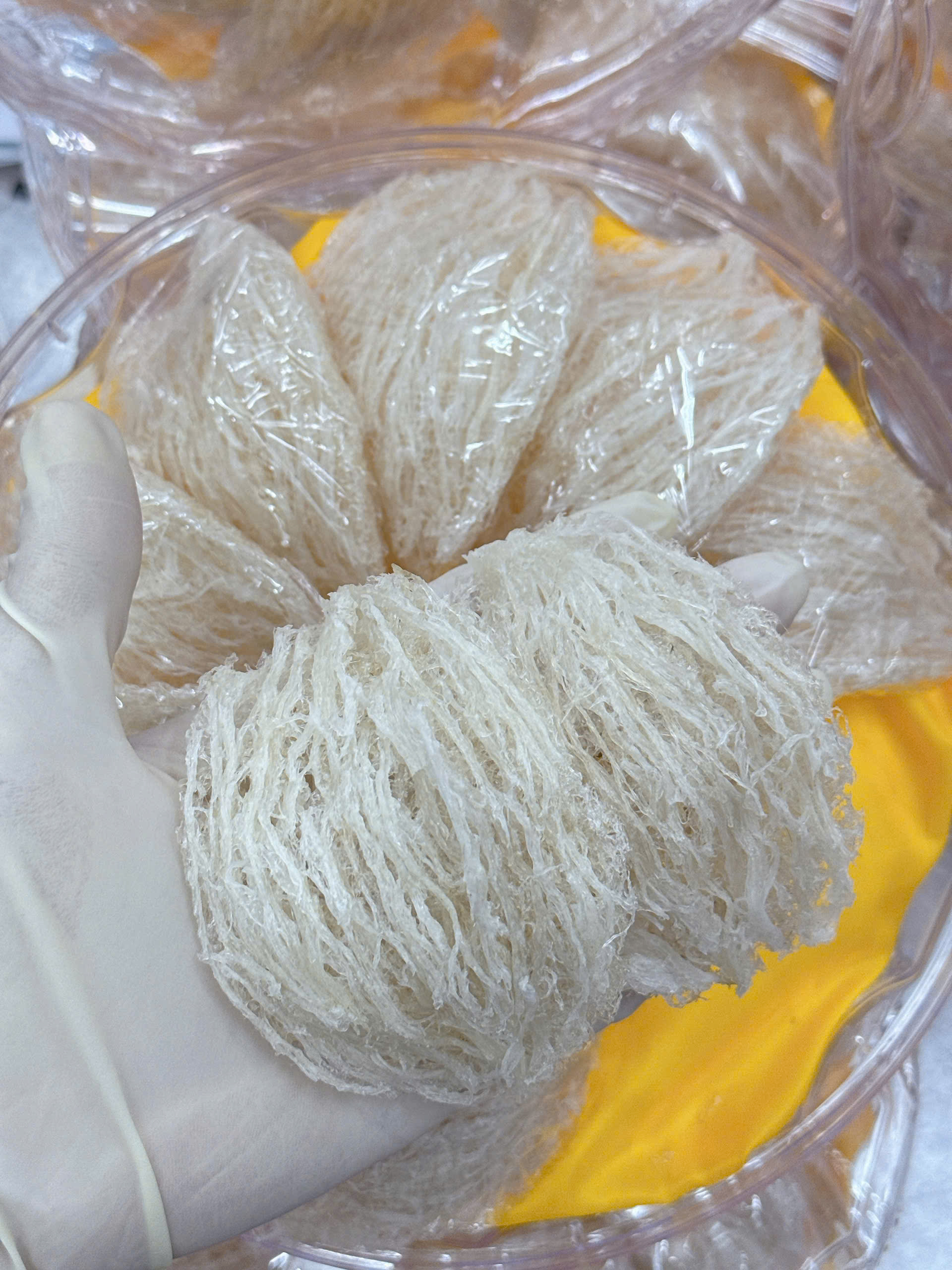 Hộp yến tinh chế 2 lớp sợi sang trọng