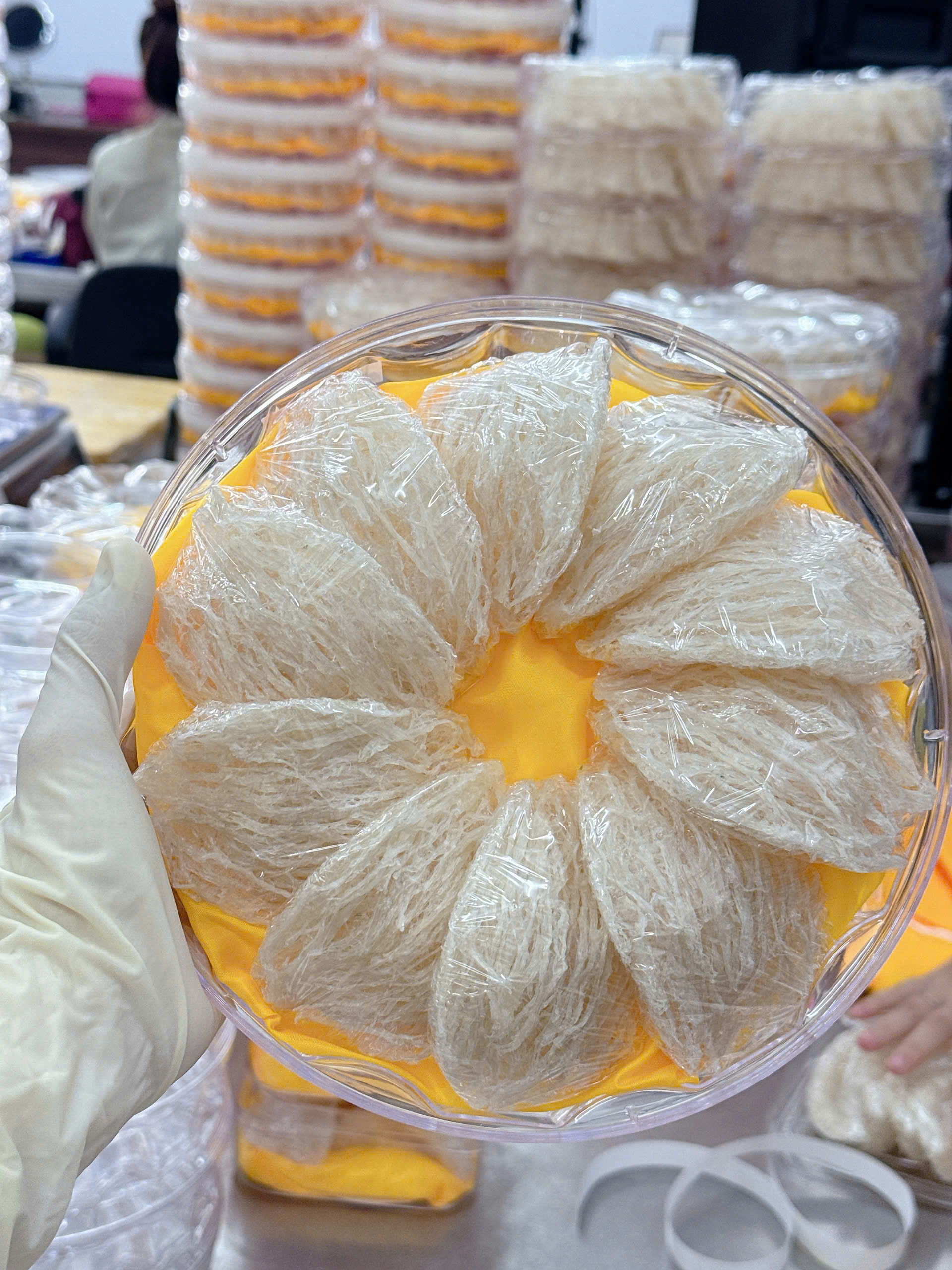 Tổ yến tinh chế 2 lớp sợi đẹp mắt