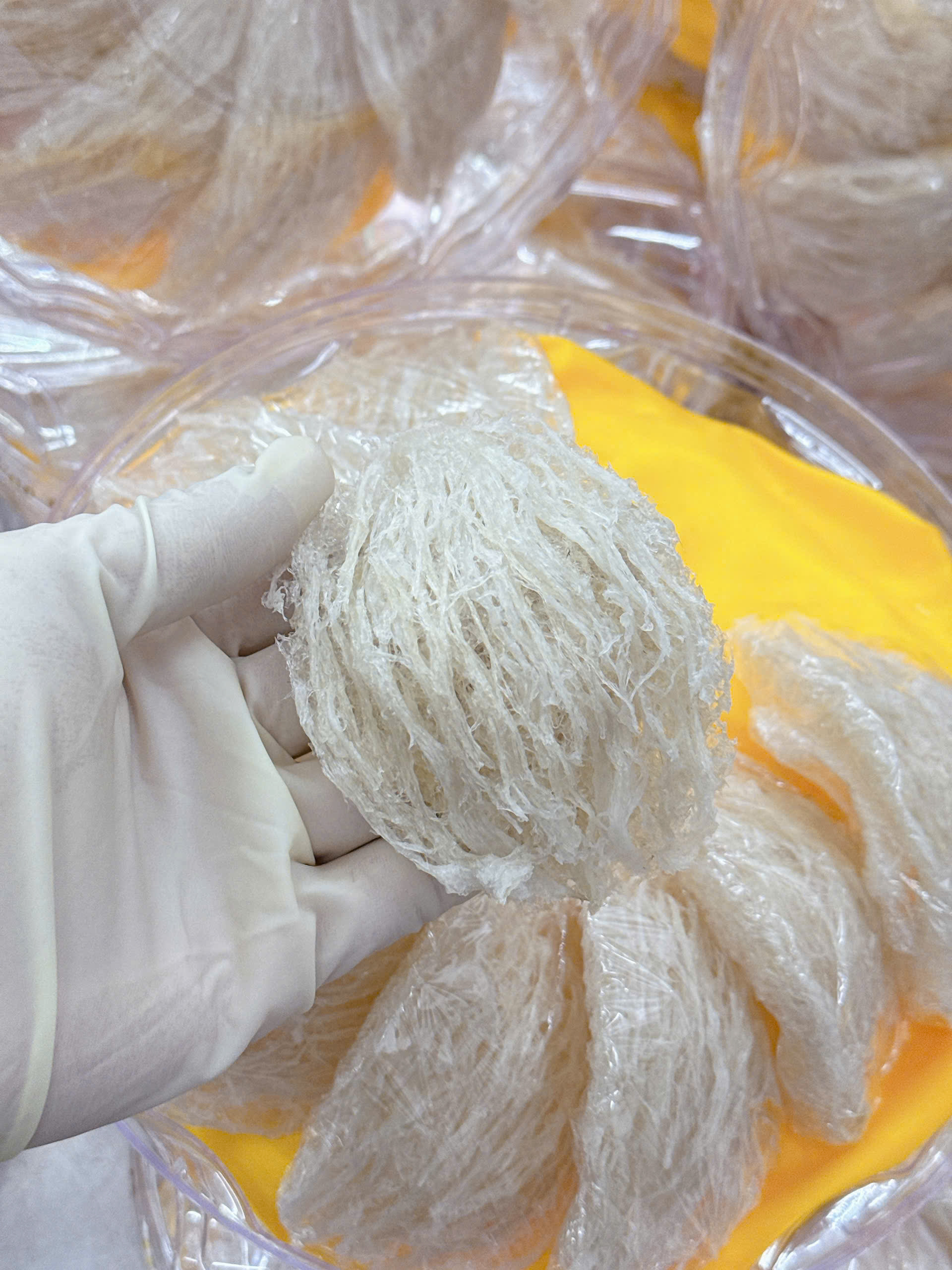 Yến tinh chế giàu dinh dưỡng