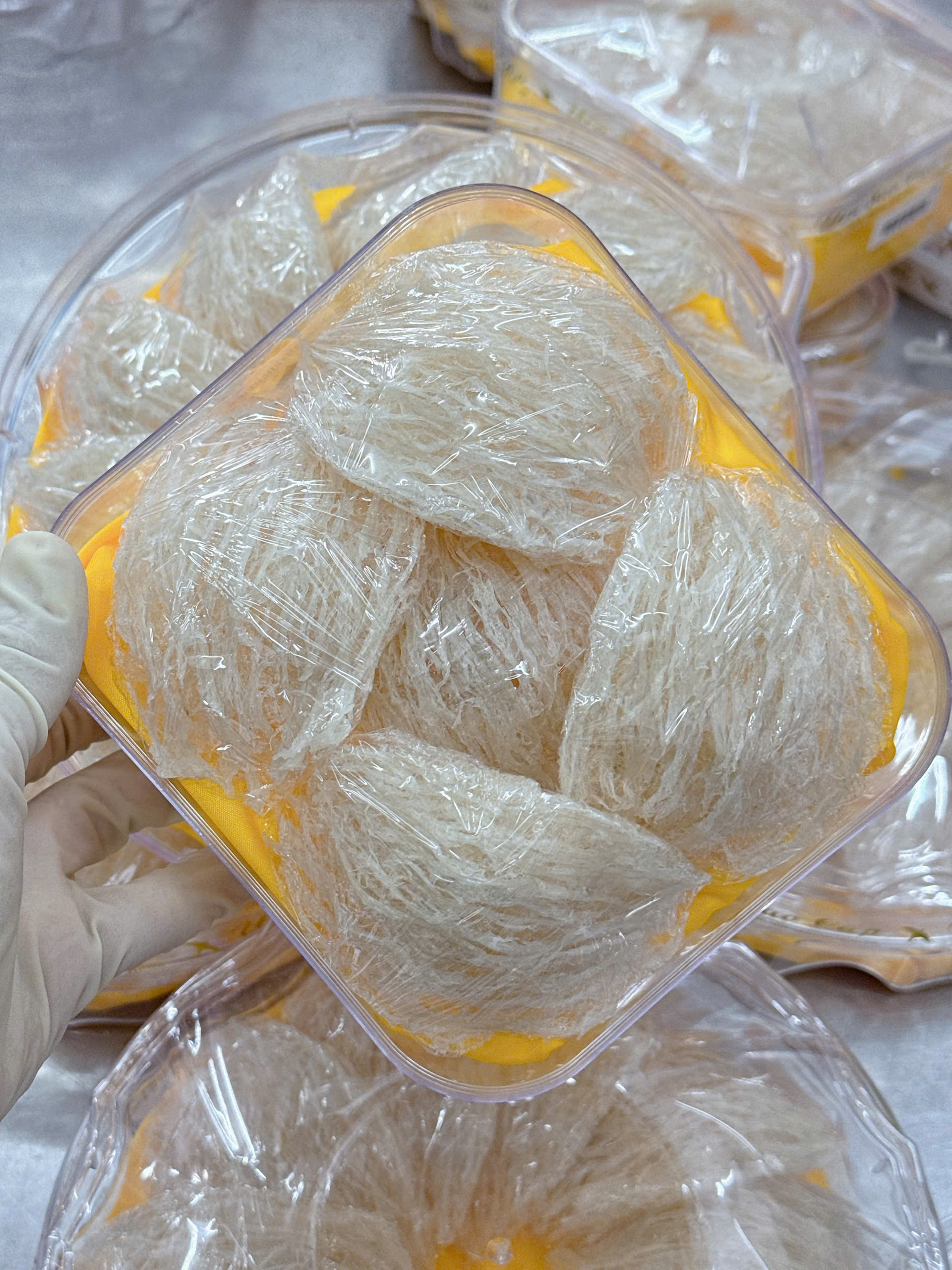 Yến tinh chế nguyên chất 100%