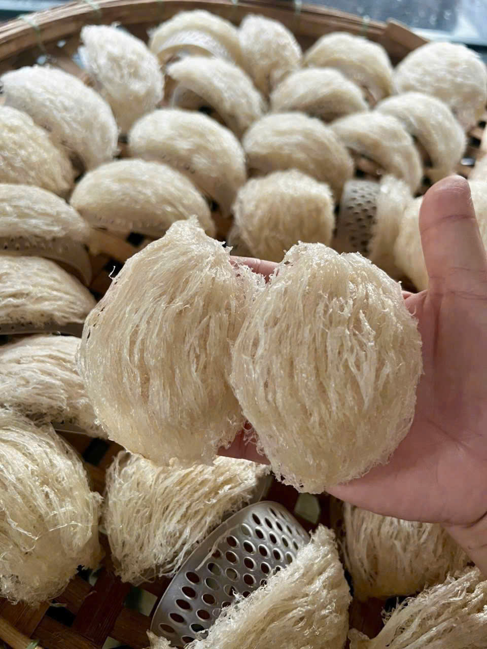Đặc điểm tổ yến rút lông loại 1 giữ nguyên hình dáng tổ