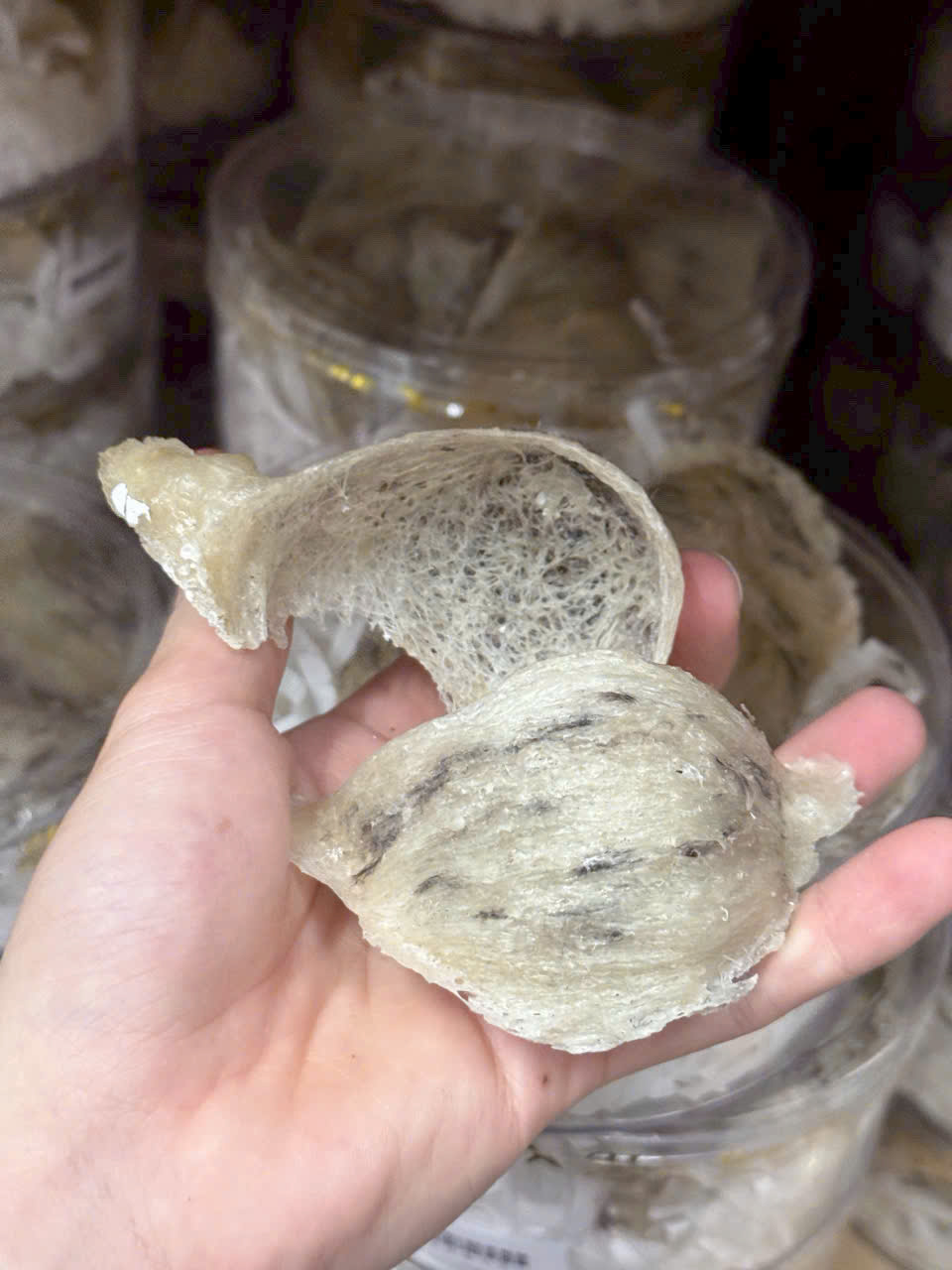 Quy trình sơ chế và nhặt lông tổ yến thô tại nhà đúng cách