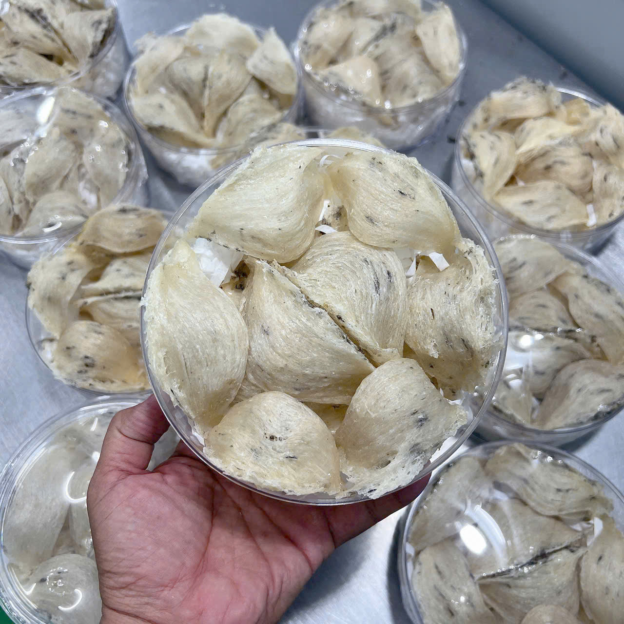 Đặc điểm nhận biết tổ yến thô còn lông và tạp chất tự nhiên