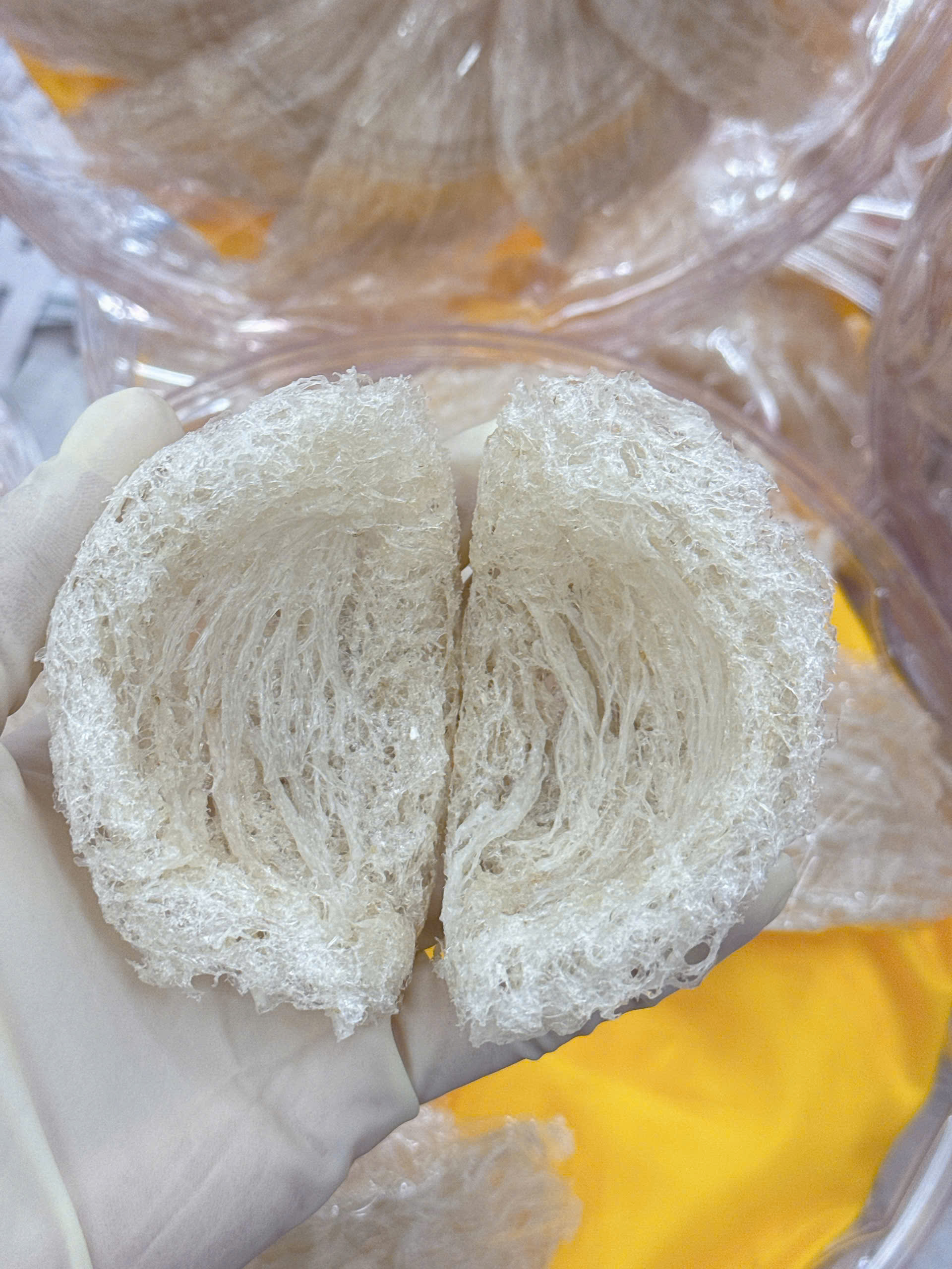 Quy trình sản xuất yến tinh chế thủ công không sử dụng hóa chất