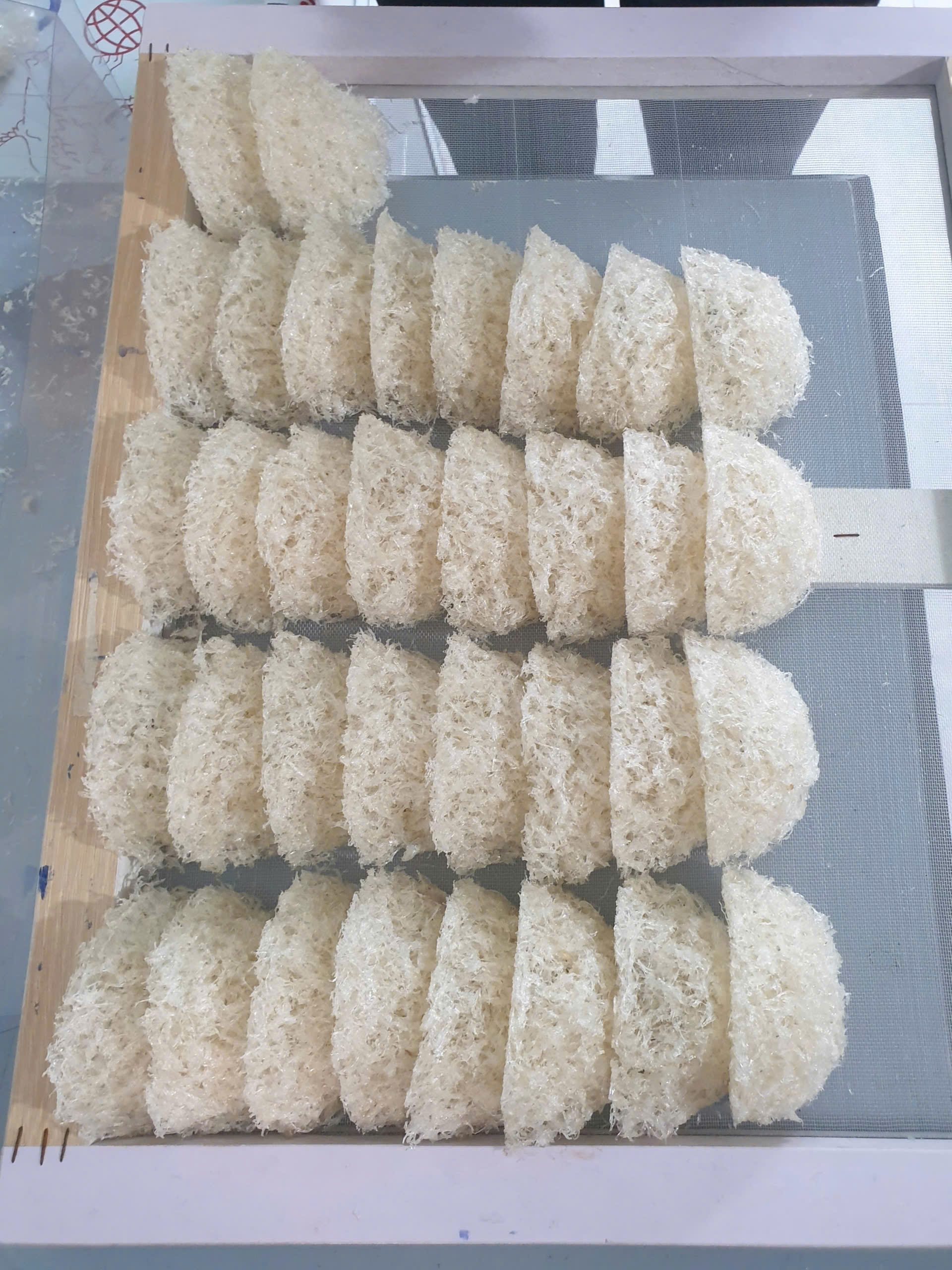 Đặc điểm yến vụn tinh chế sạch lông trắng sáng tự nhiên